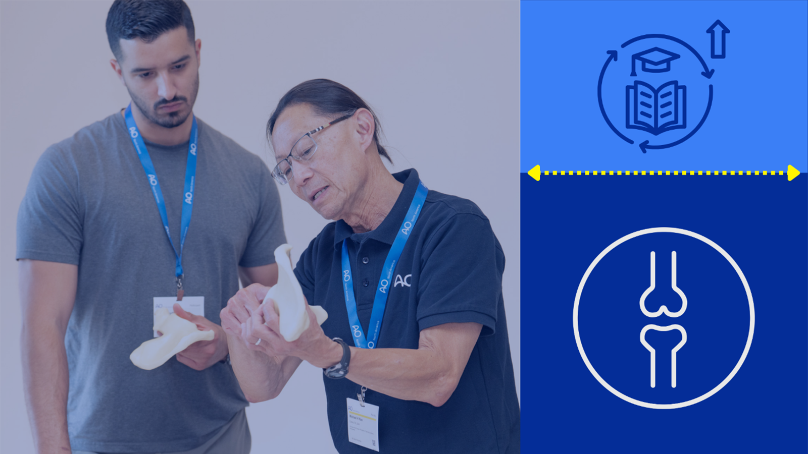 Two people wearing AO lanyards examine a bone model together.