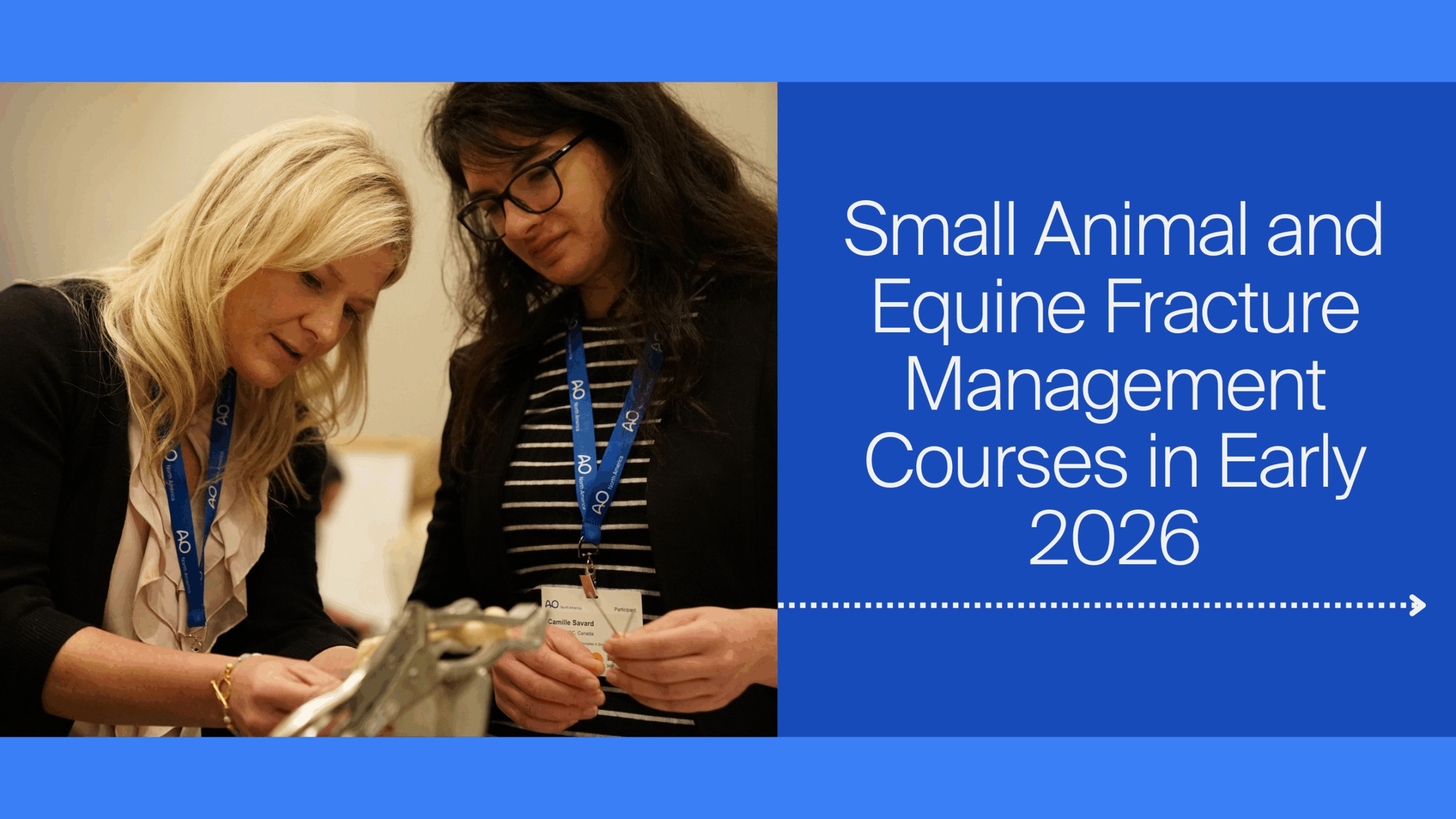 Take Your Skills to the Next Level with Small Animal and Equine Vet Ortho Courses
