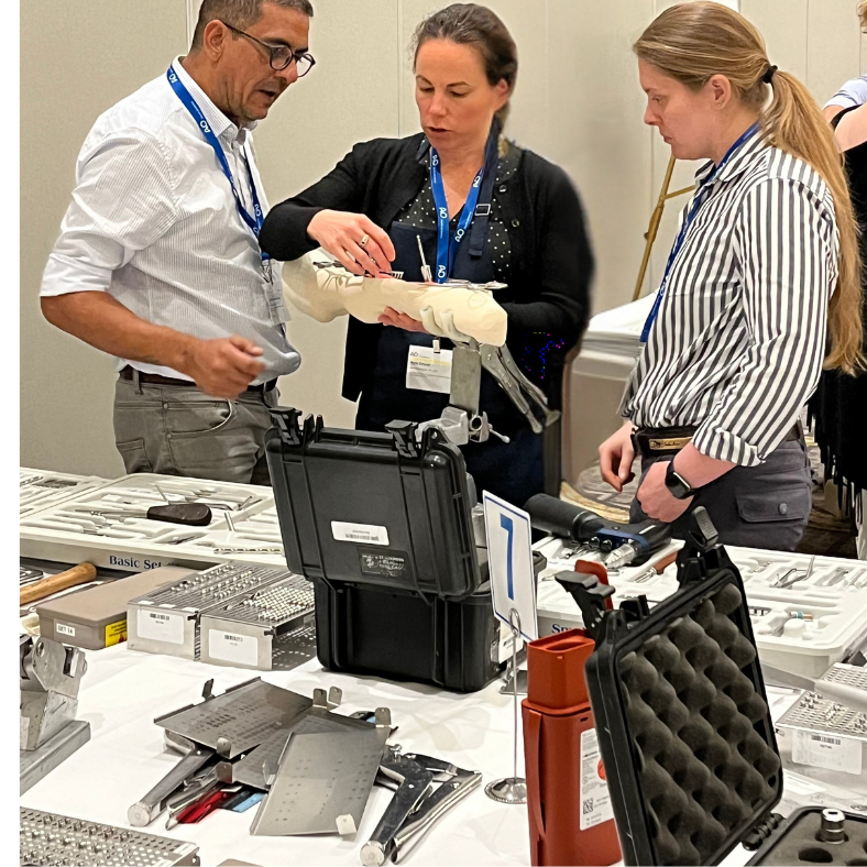 Small Animal surgery courses with AO VET NA