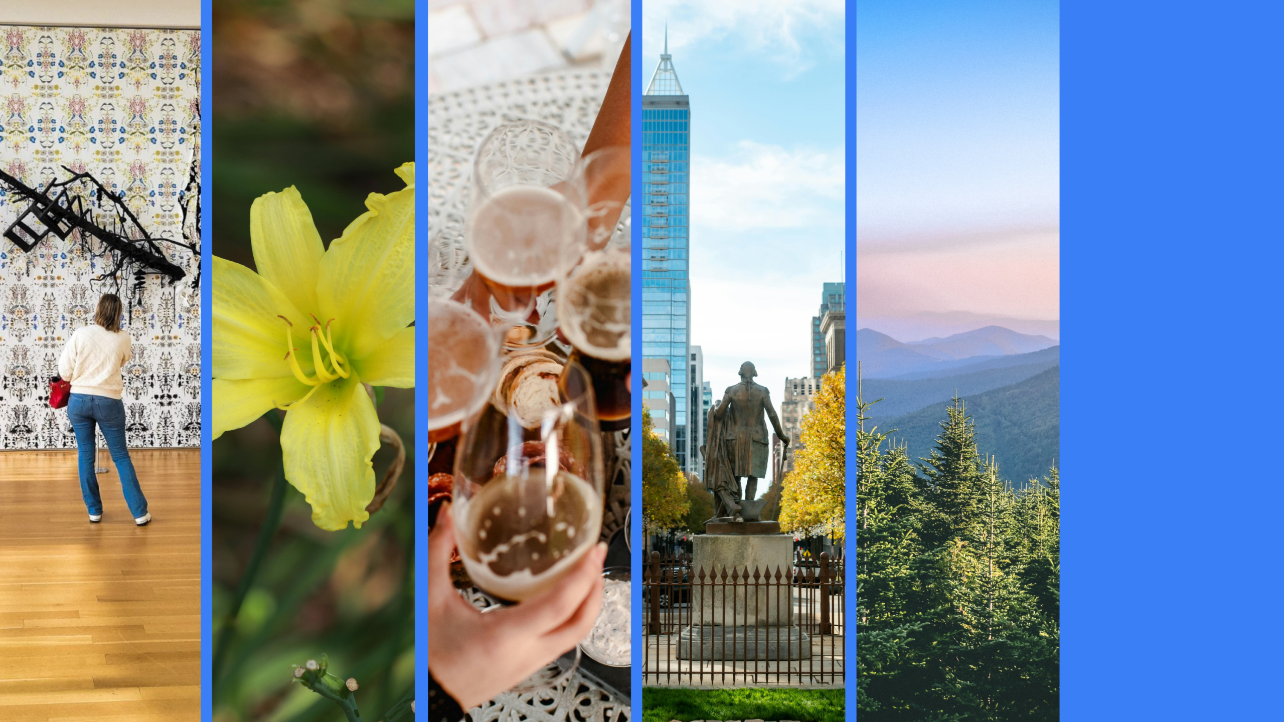 AO VET NA Cary Courses