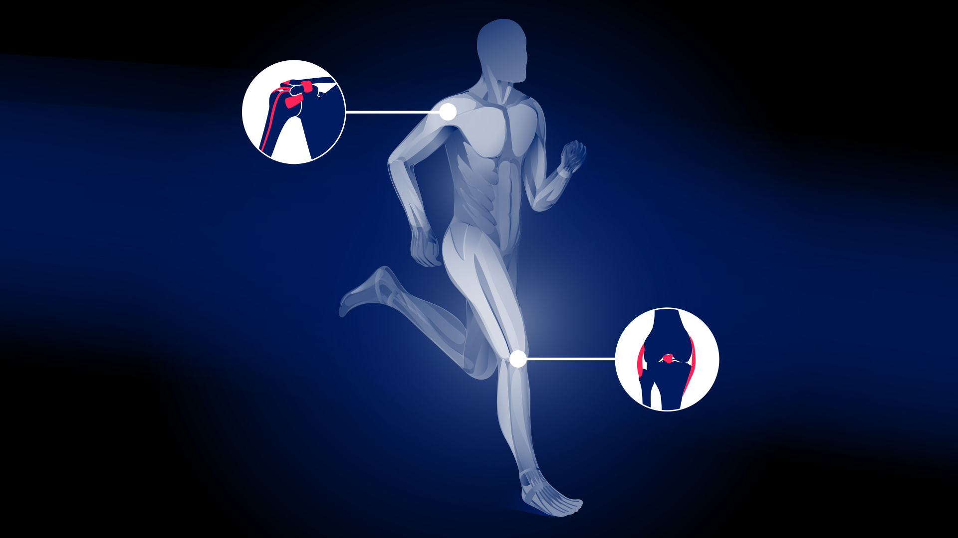 Sports Medicine Course