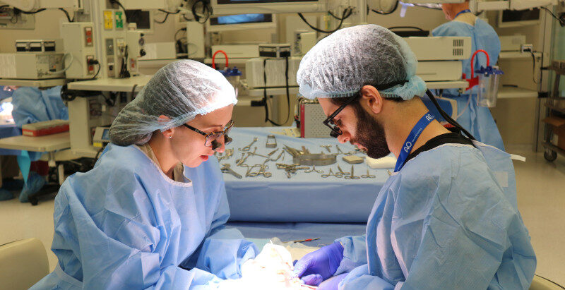 AO Trauma Hand NA 2027 courses